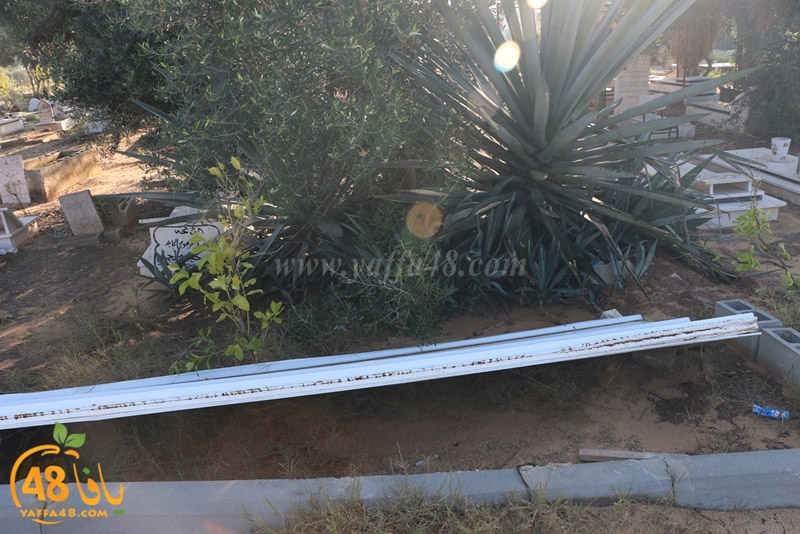 hadm tasoo3s (8).JPG